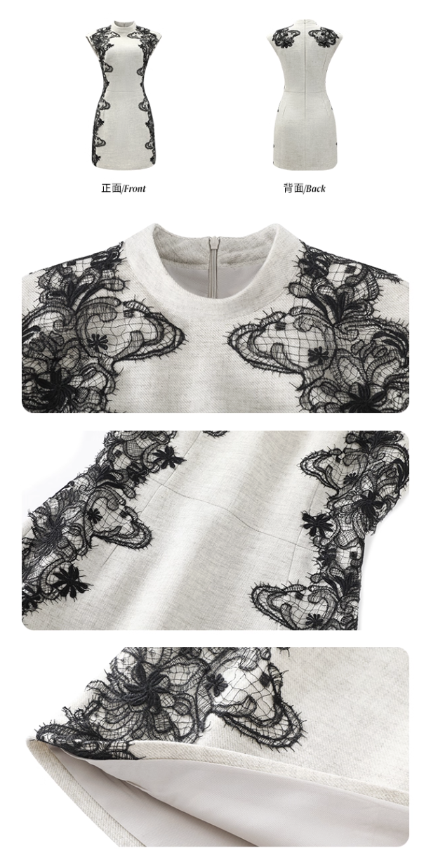 Lace Stand Collor Dress レース スタンドカラー ドレス