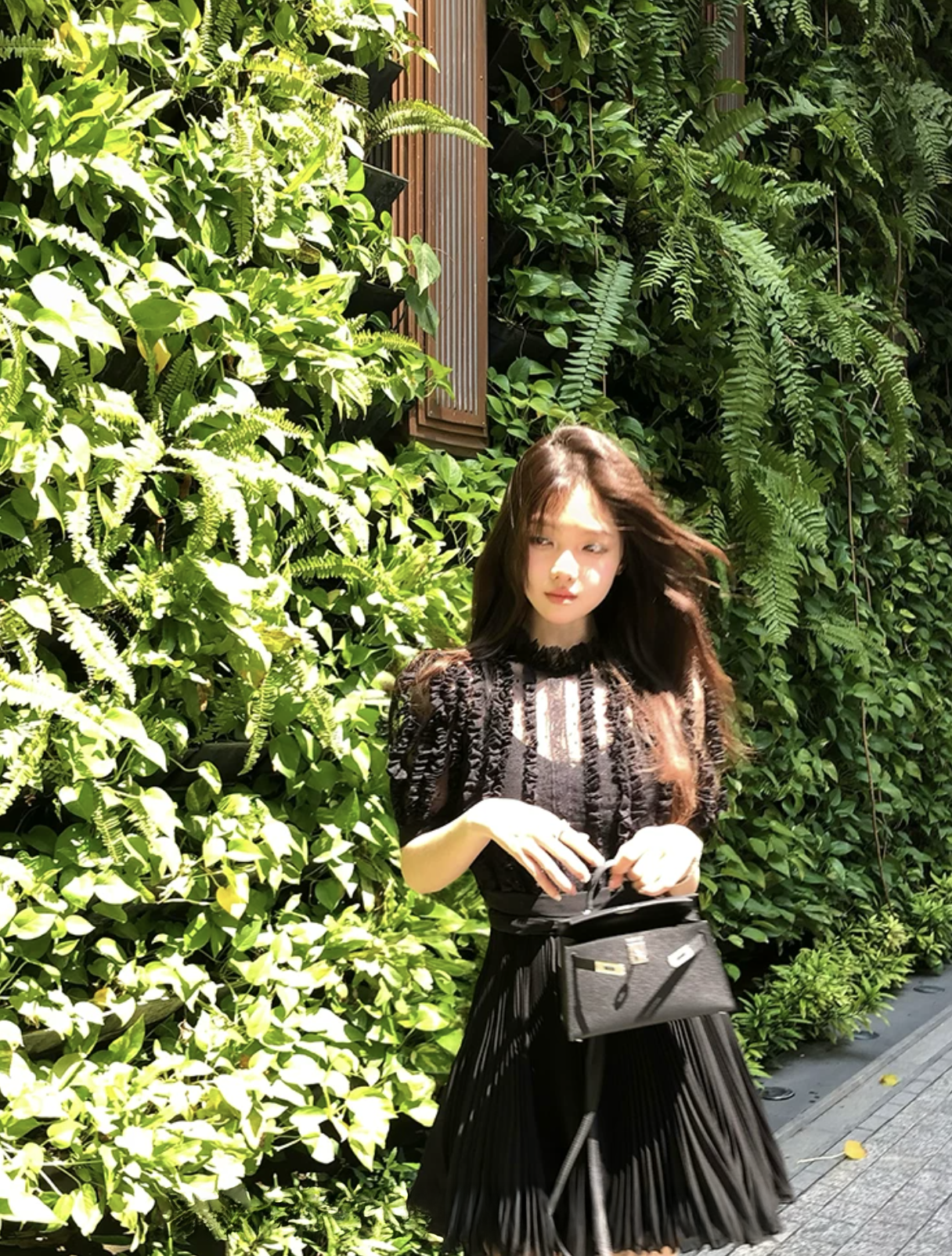 Stripe Lace Puff Sleeve dress ストライプ レース パフ スリーブドレス