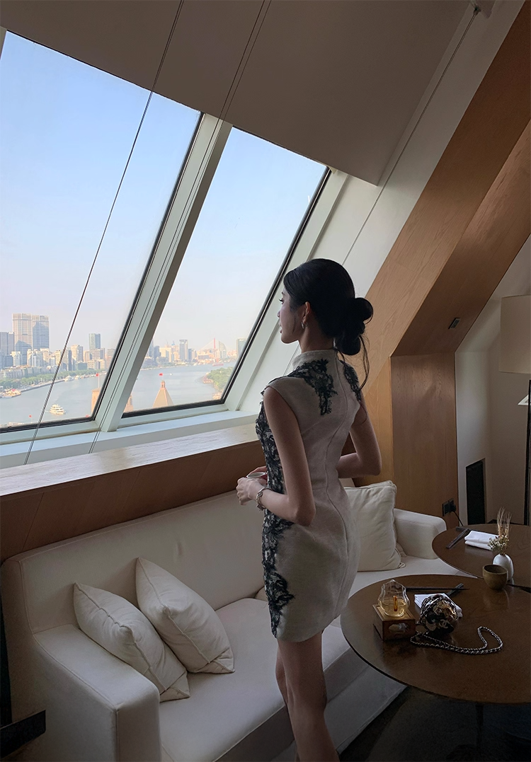 Lace Stand Collor Dress レース スタンドカラー ドレス